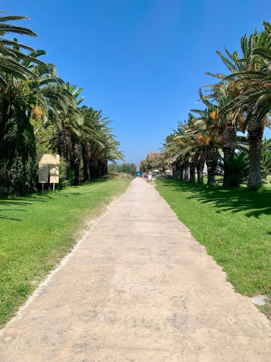 Gartenanlage Caravia Beach Hotel