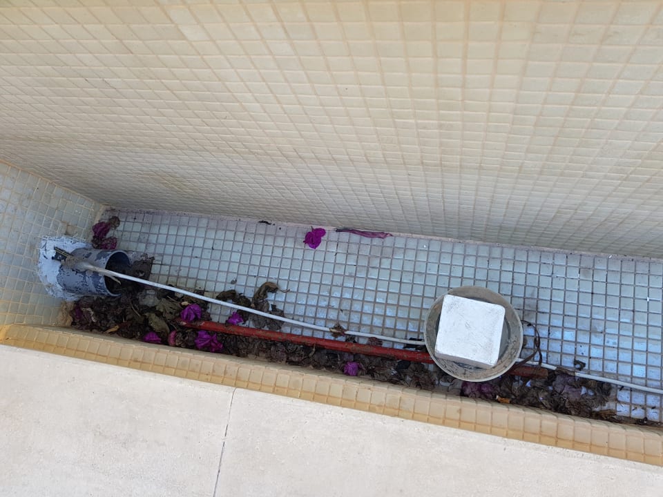 Gartenanlage Elegance East Hotel