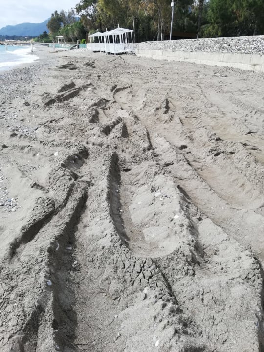 Strand TUI MAGIC LIFE Beldibi +16