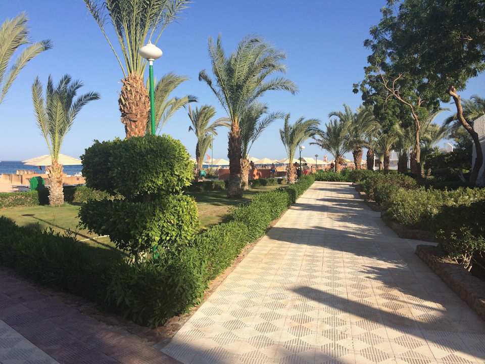 Die Strandpromenade Menaville Safaga