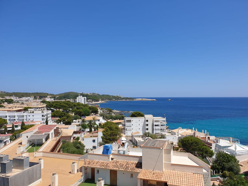 Zimmer Son Moll Sentits Hotel & Spa