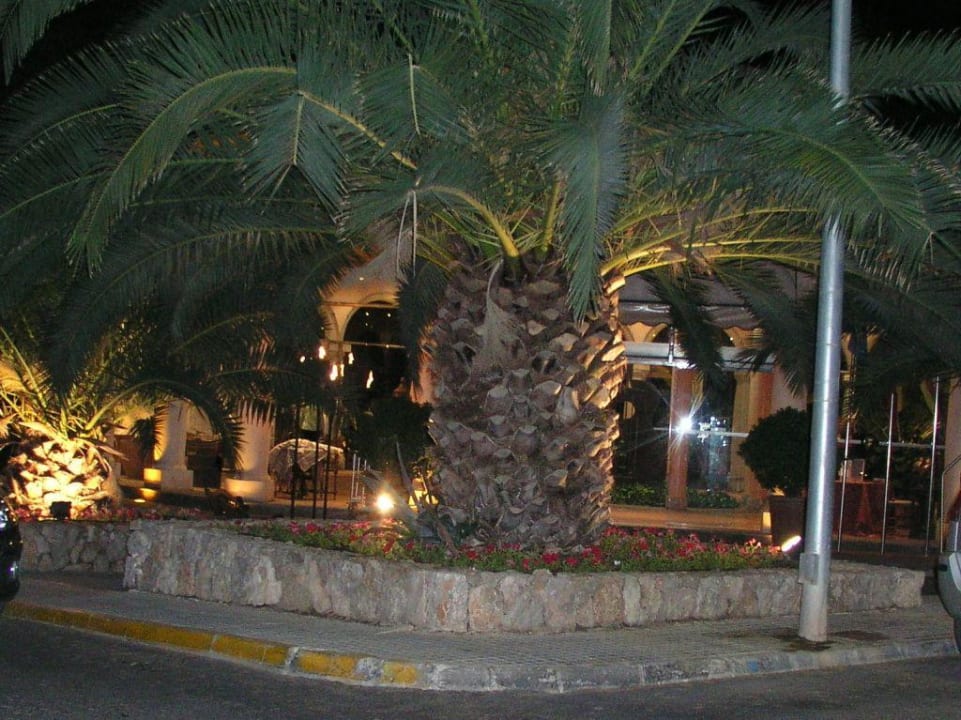 Hoteleingang Lago Garden