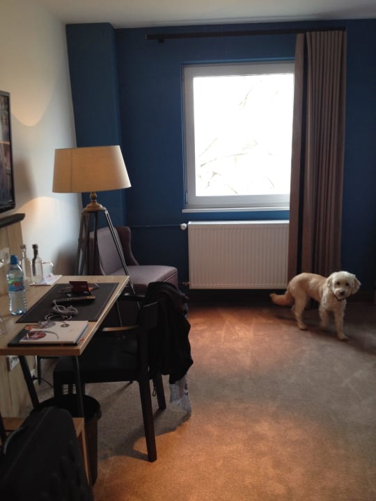 Zimmer 206 Hotel Dock1