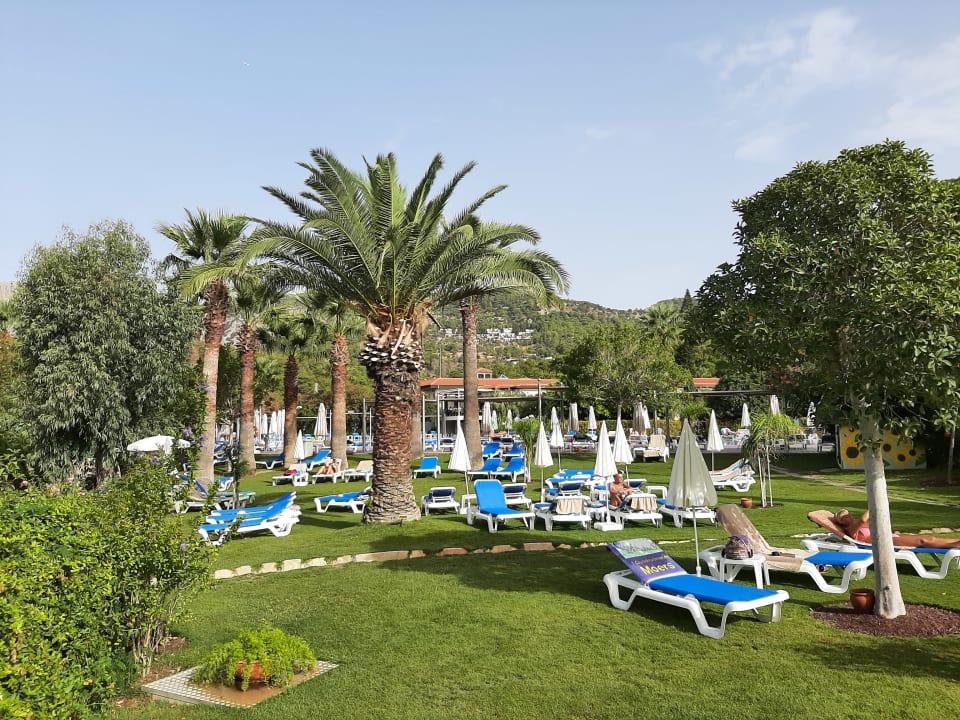Pool TUI BLUE Sarigerme Park