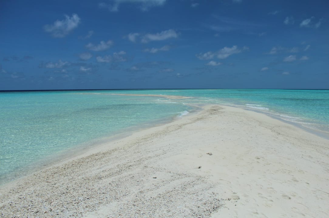 Sandbank Kuramathi Maldives