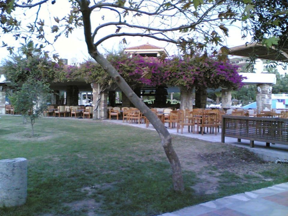 Poolbar Hotel Defne Star