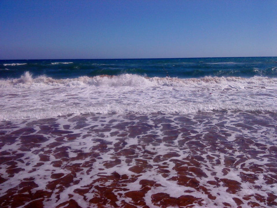 Herrliches Meer und wunderbarer Sandstrand Royal Atlantis Beach Hotel