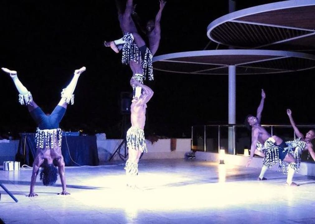 Afrikanische Akrobaten Sherwood Blue Belek