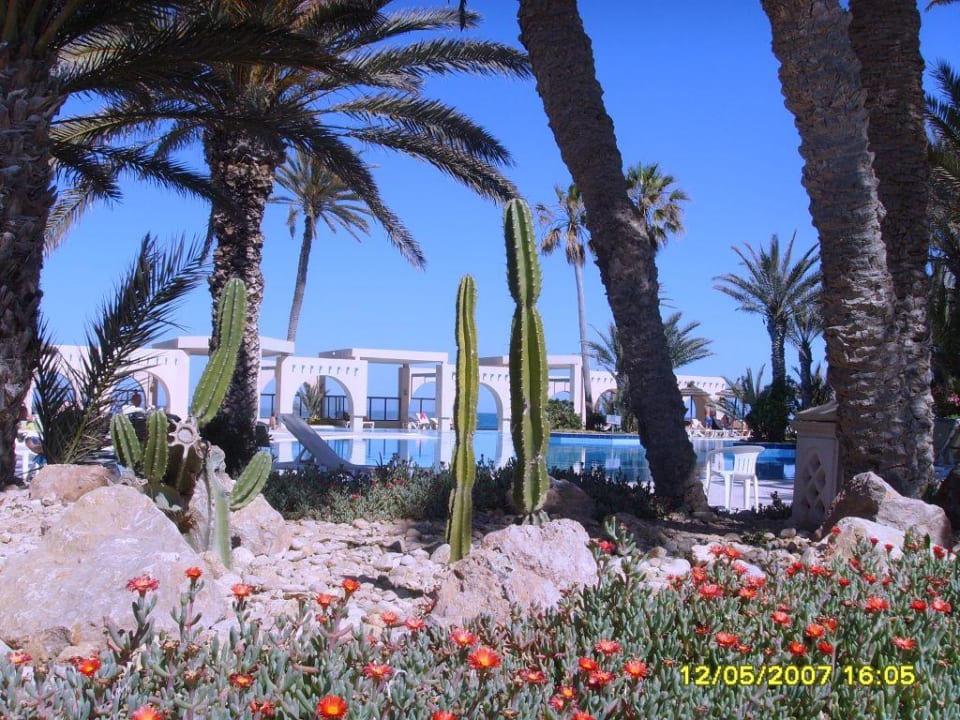 Zita beach Zita Beach Resort