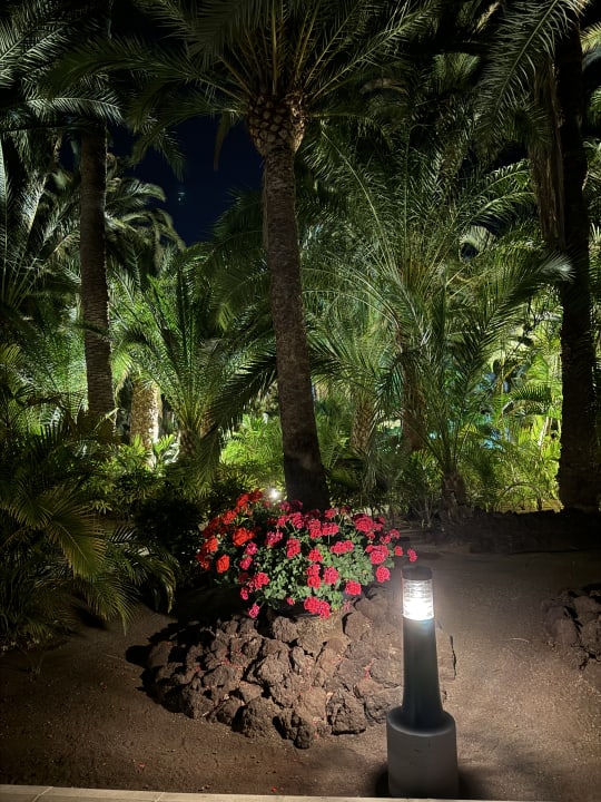 Außenansicht Hotel Riu Palace Oasis