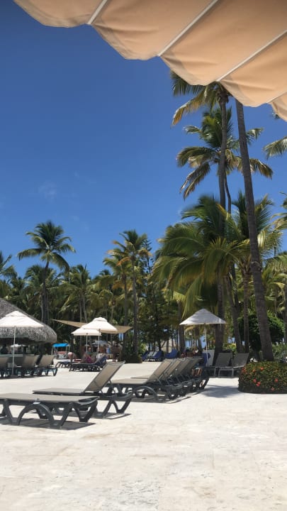 Pool Catalonia Punta Cana - All Inclusive