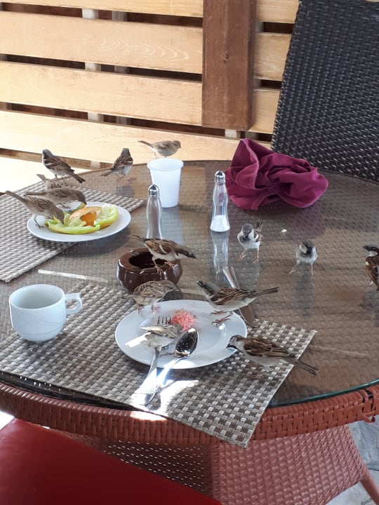 Gastro Hotel Mercure Hurghada