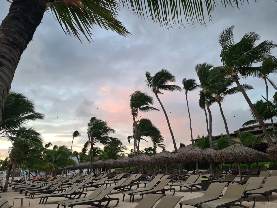 Strand Lopesan Costa Bávaro Resort, Spa & Casino