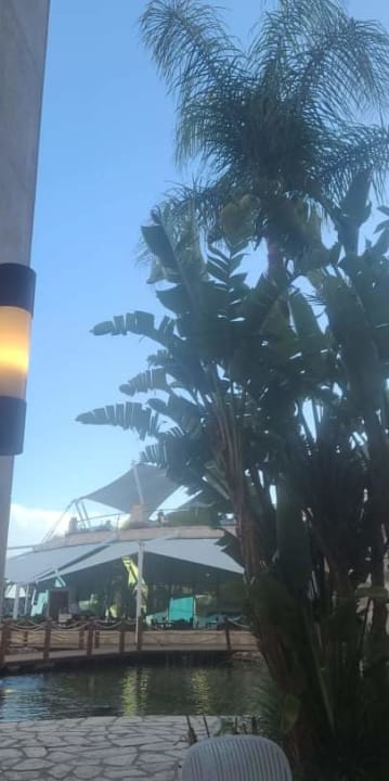 Gartenanlage Paloma Pasha