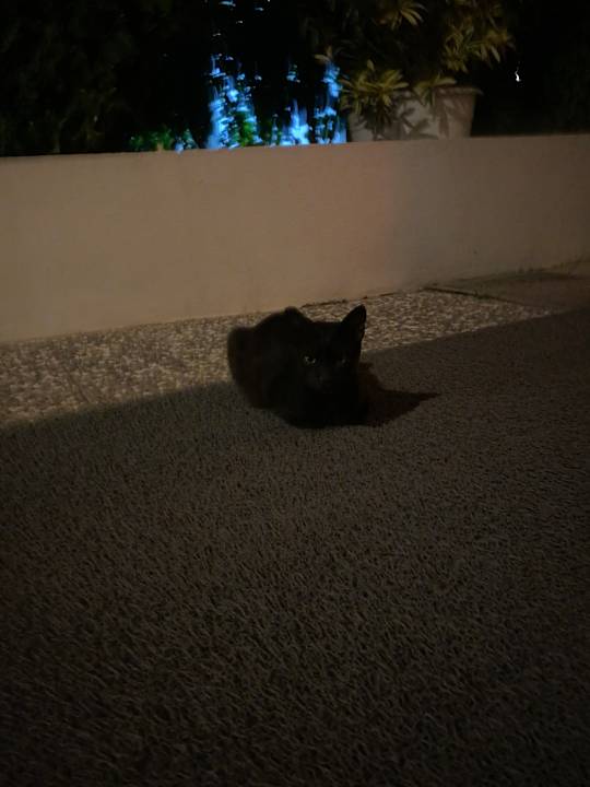 Sonstiges Bella Resort & Spa