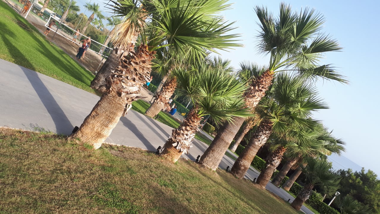 Gartenanlage Rodos Princess Beach Hotel & Spa