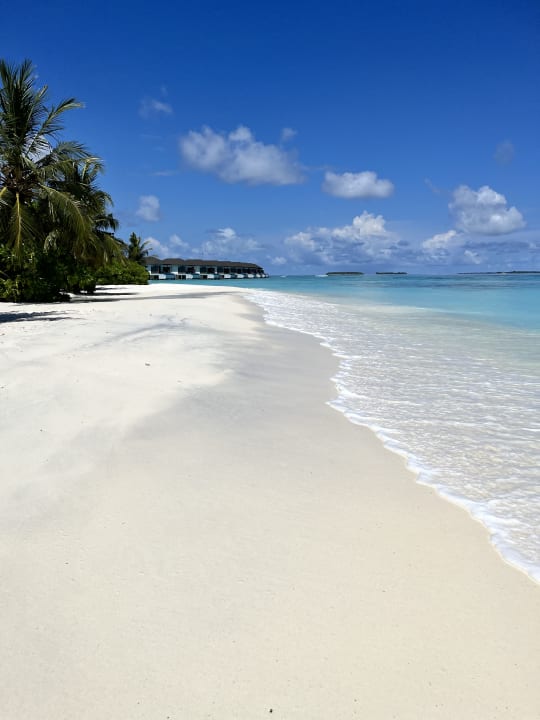 Strand ROBINSON NOONU