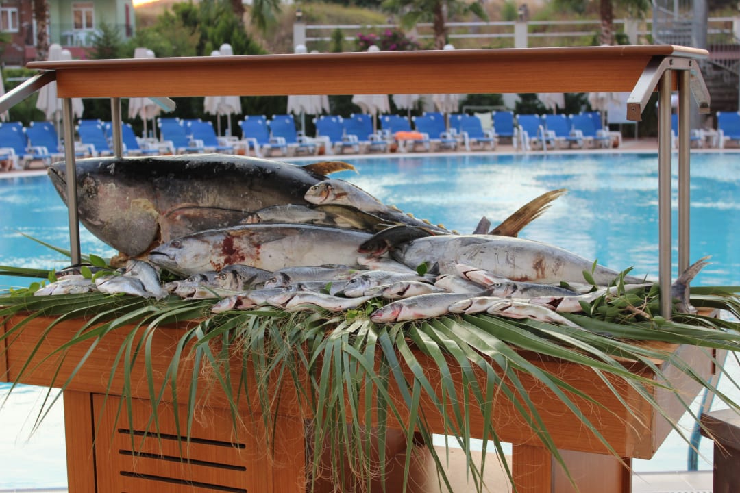 Essen draußen Narcia Resort Side