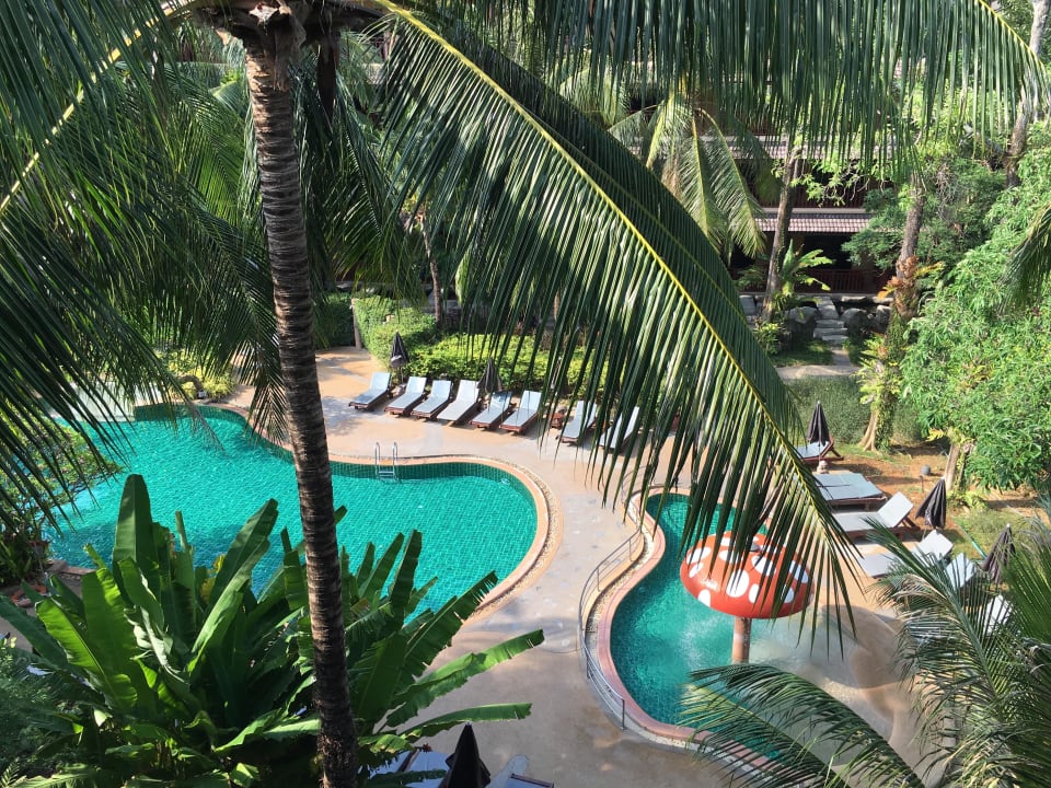 Zimmer mit Poolblick Kata Palm Resort & Spa