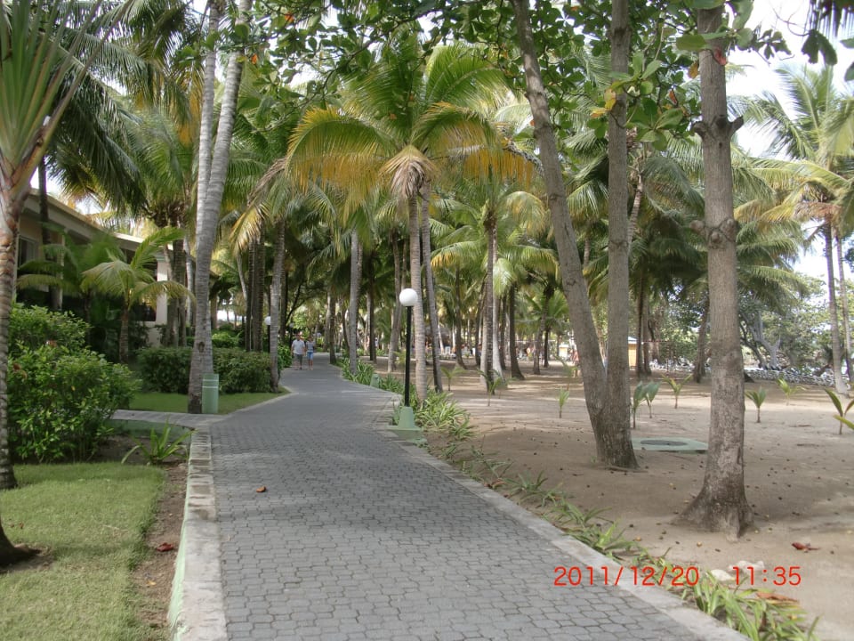 Strand Playabachata Hotel