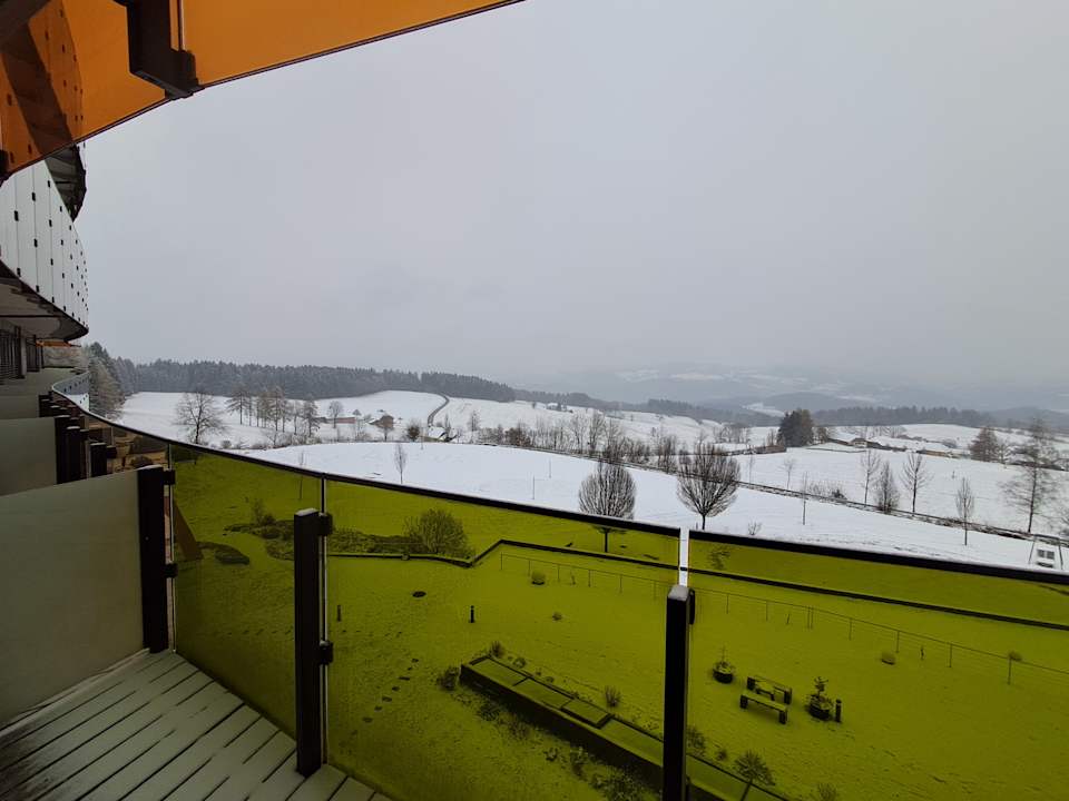 Zimmer AVIVA make friends