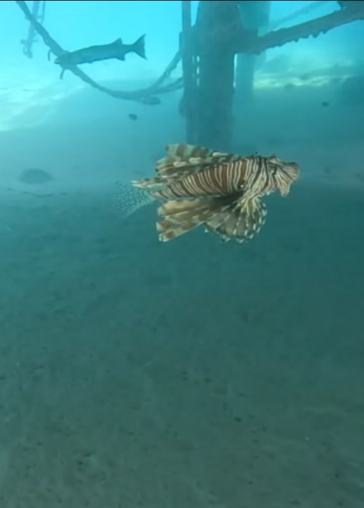 Sport & Freizeit Cleopatra Luxury Resort Makadi Bay