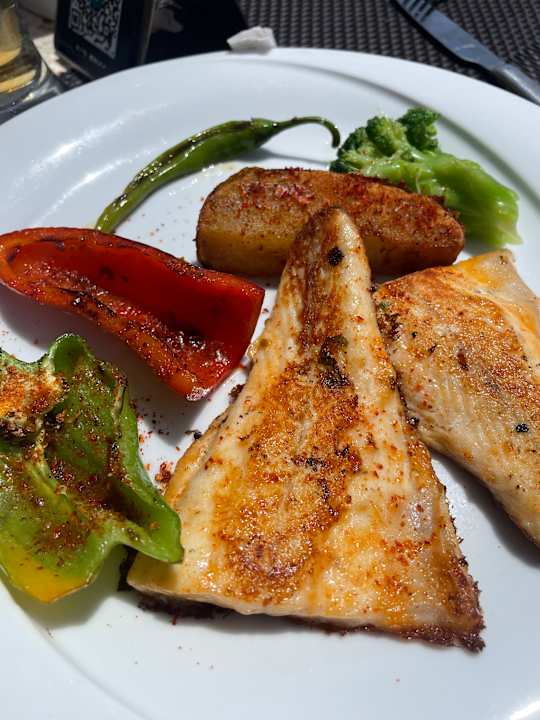 Gastro Seashell Vega