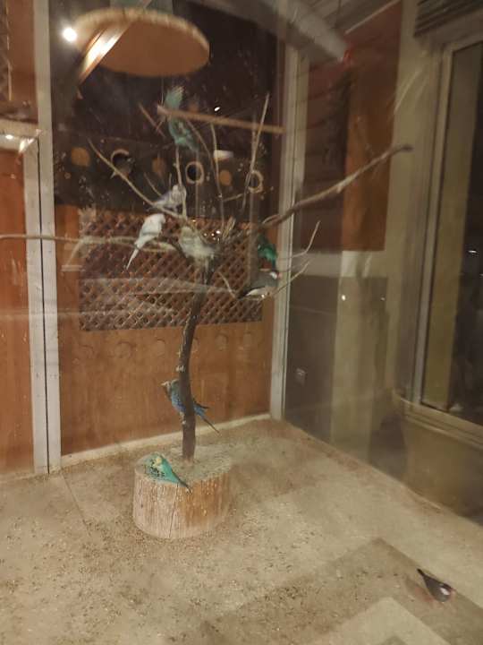 Gastro Crystal De Luxe