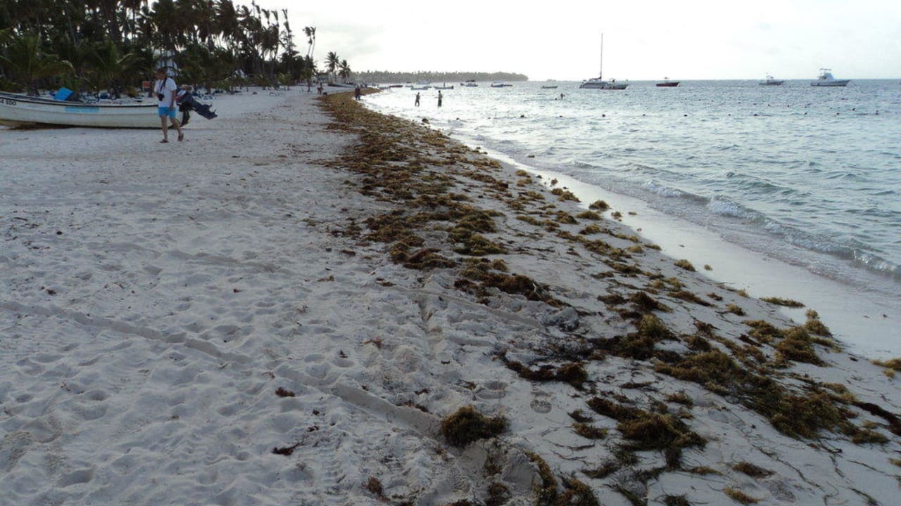 Abends am Hotelstrand - Blick nach links Villas Bavaro Resort & Spa