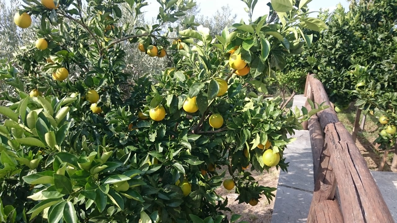 Sonstiges Akrathos Beach Hotel