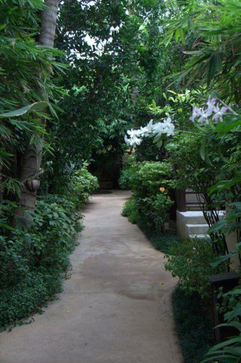 Pfad im Hotel Buri Rasa Village Samui Adults Only Resort