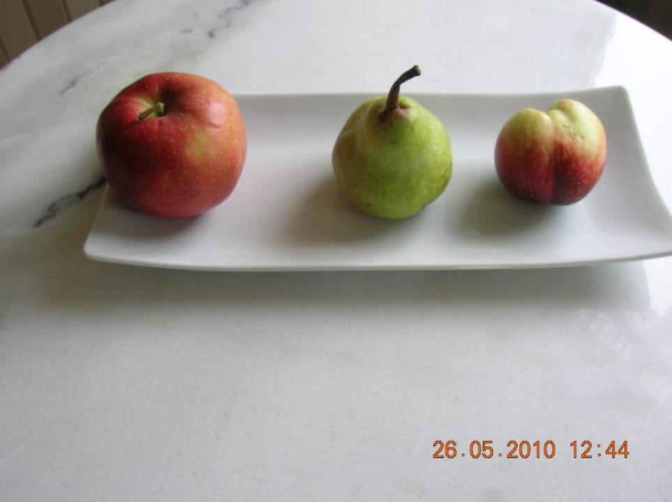 "Obstkorb" Hotel Schluister Park