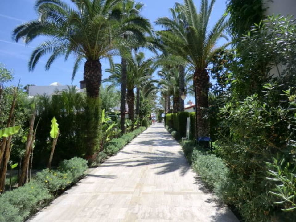 Weg zum Strand Emelda Sun Club