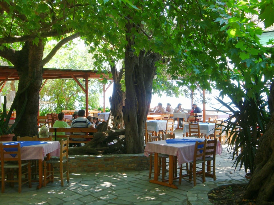Taverna Sikia Aparthotel Sikia II