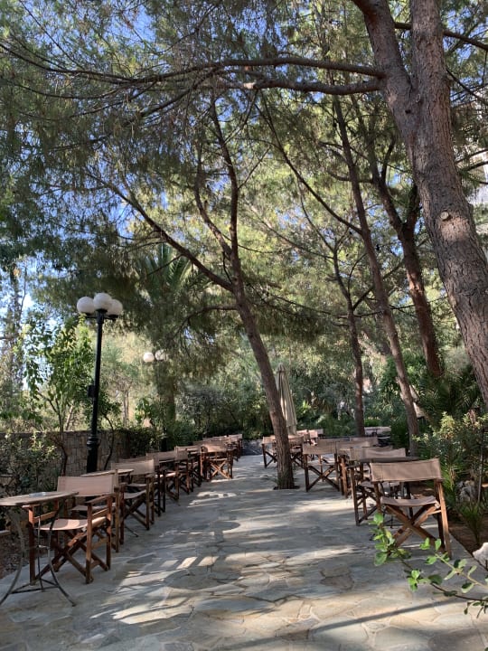 Gartenanlage Apollonia Beach Resort & Spa