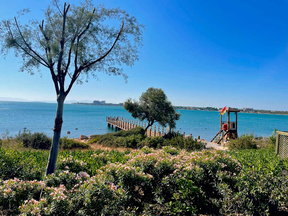 Ausblick Anda Barut Collection