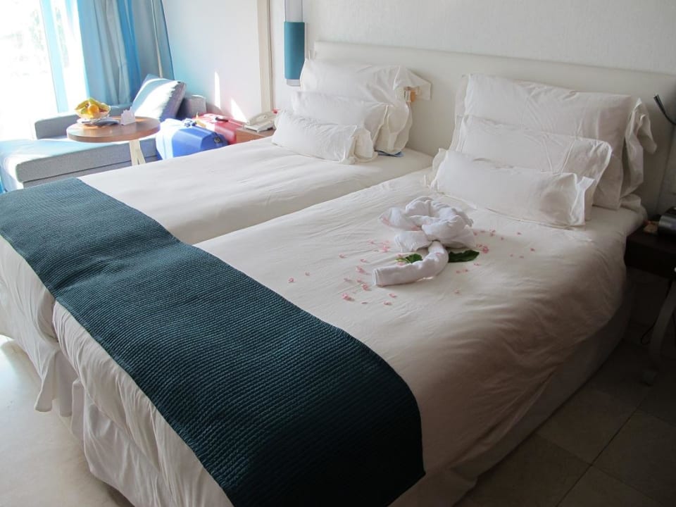 Rose aus Handtüchern Dreams Jardín Tropical