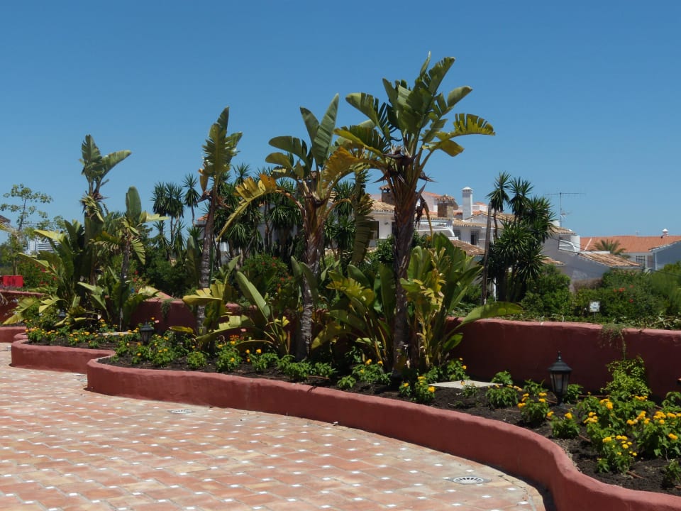 Neben dem Pool Bakour Oh Nice Costa del Sol