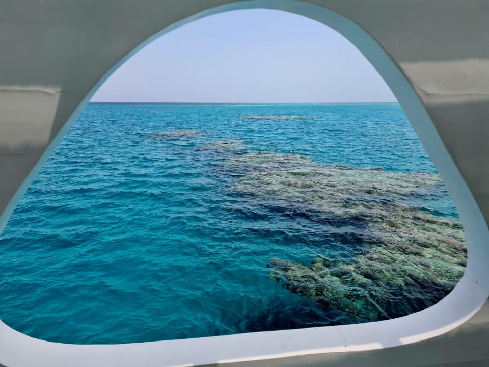 Pool Shams Alam Beach Resort