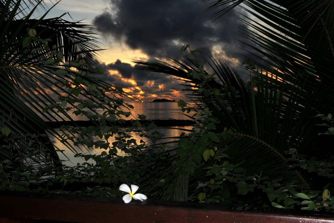 Ausblick Summer Island Maldives