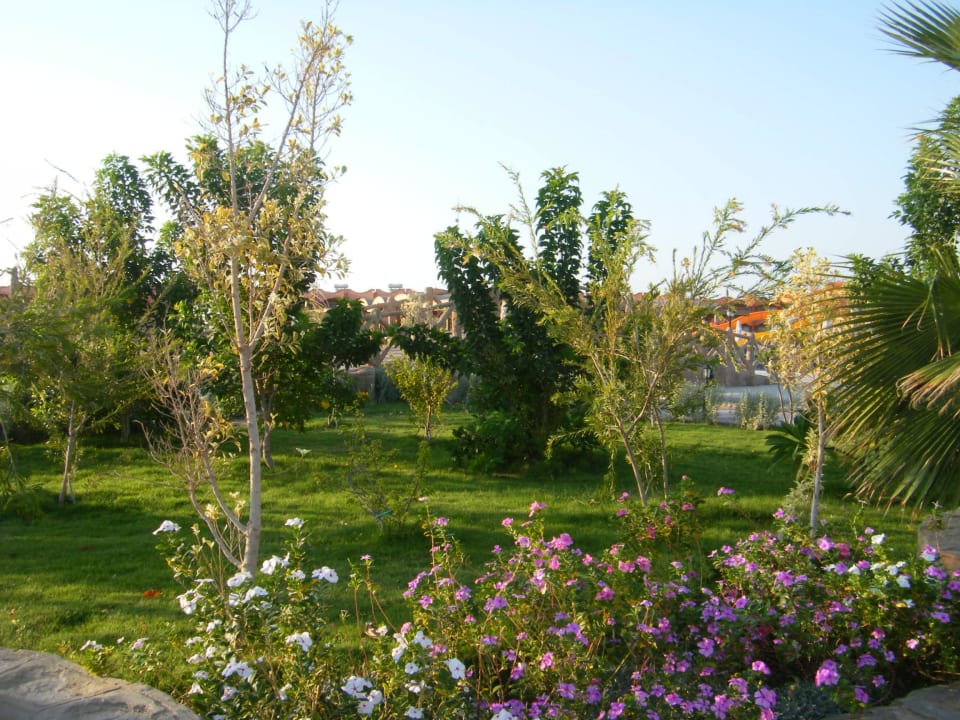 Es blüht und gedeiht Three Corners Happy Life Beach Resort