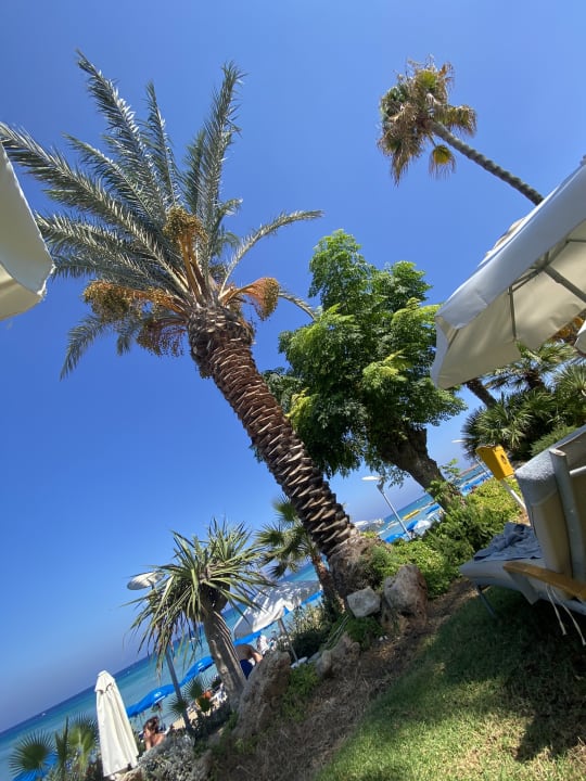 Gartenanlage Hotel Sunrise Beach