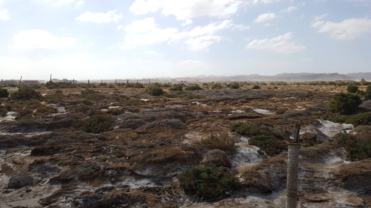 Mitteres Wadi Three Corners Equinox Beach Resort