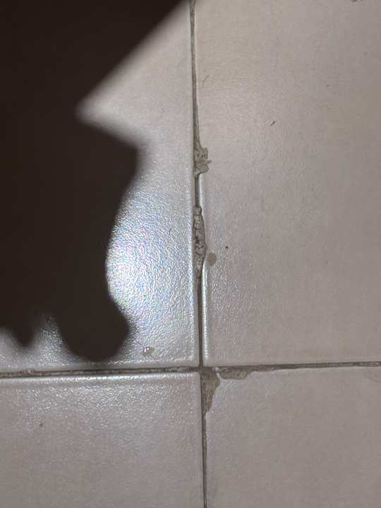 Zimmer Prima Life Makadi Resort