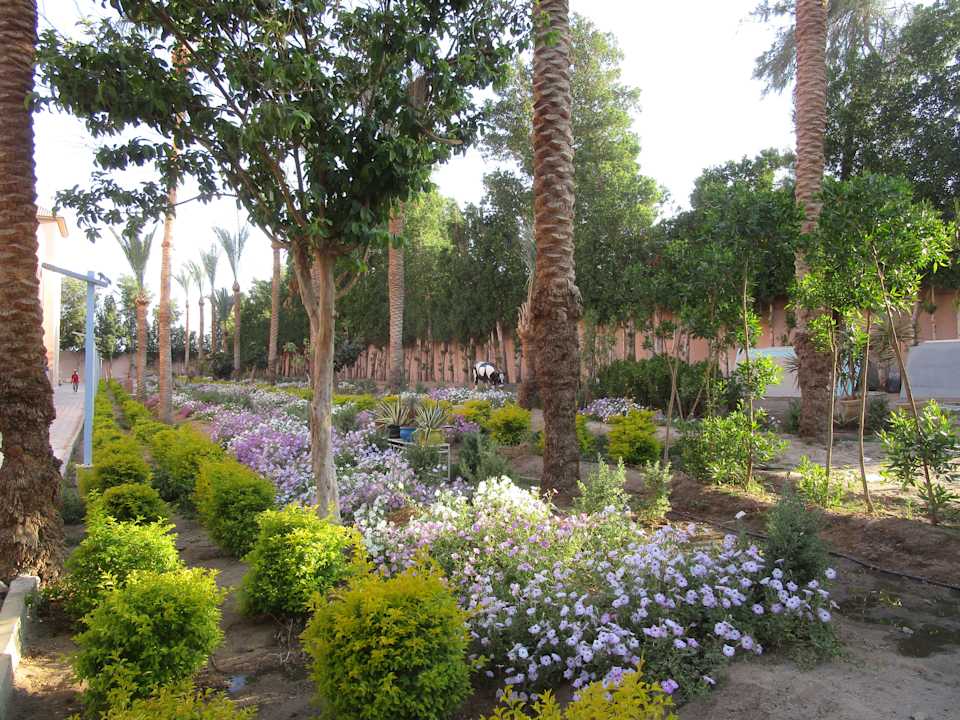 Gartenanlage Pickalbatros Aqua Blu Resort - Hurghada