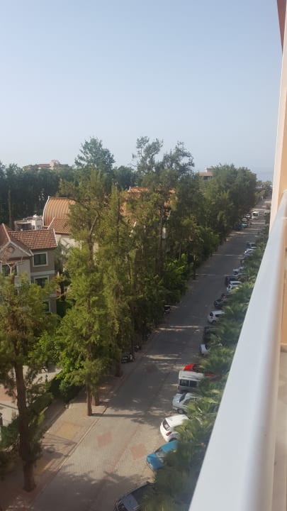 Ausblick Dizalya Palm Garden