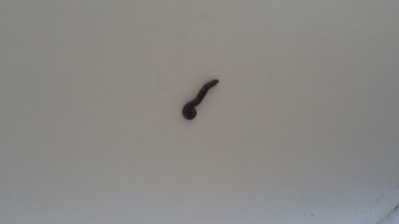 Sonstiges Louis Paphos Breeze