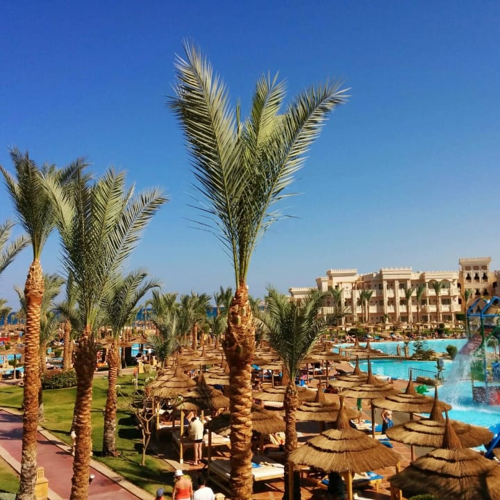 Вид с балкона Pickalbatros Palace Resort