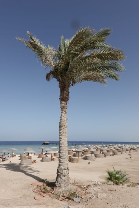 Strand Hotel Gorgonia Beach Resort