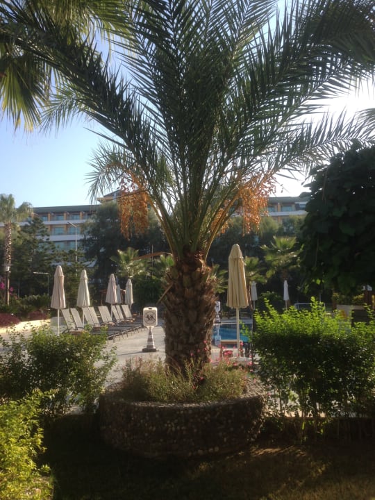 Gartenanlage Belek Beach Resort Hotel